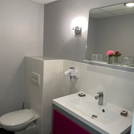 Hotel & Restaurant - Le Manoir Des Cedres - Piscine Exterieure Et Climatisation Hotel 3*